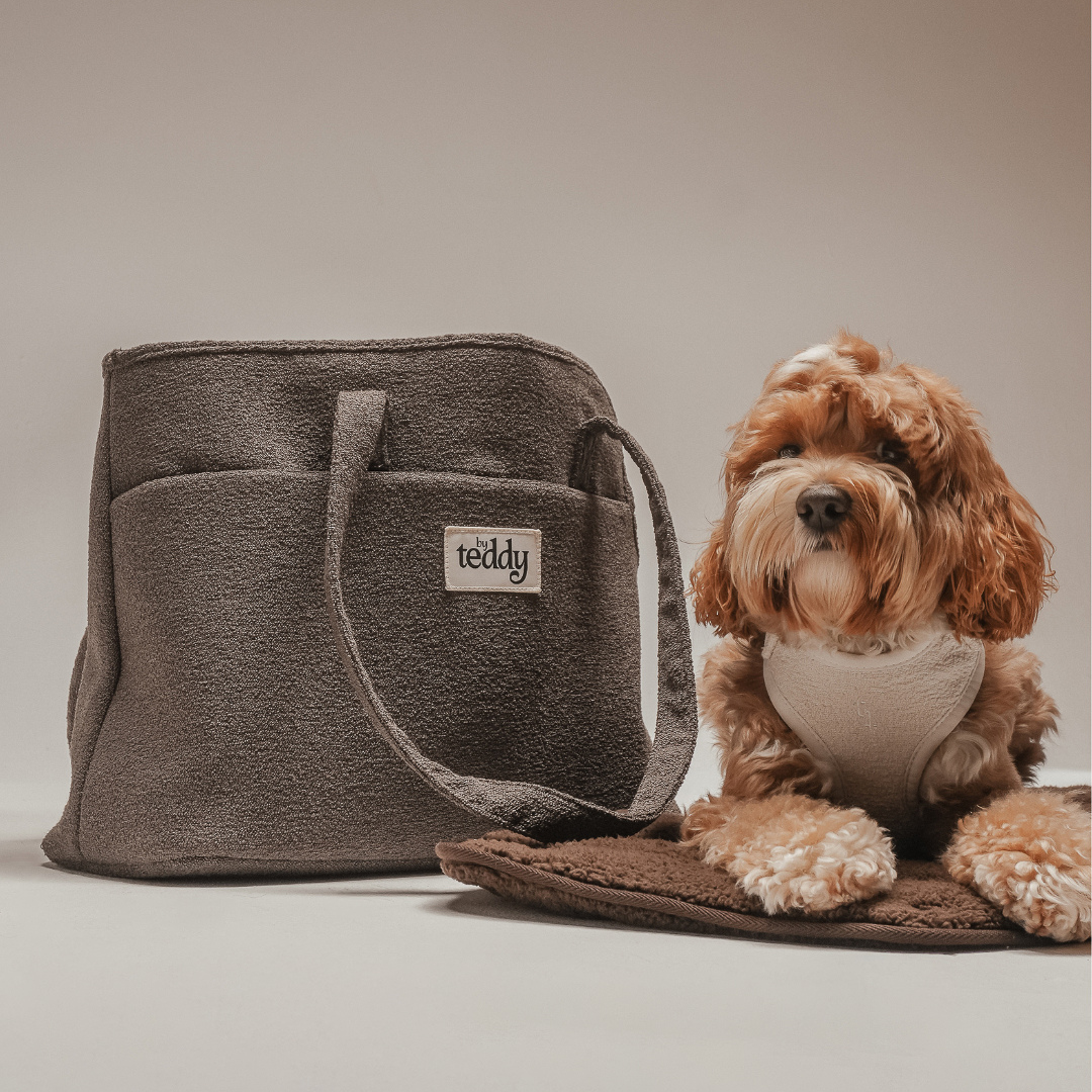 Dog with a fluffy bag on a neutral background