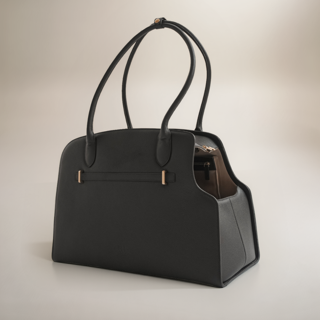 Chocolate Studio Carrier by By Teddy
