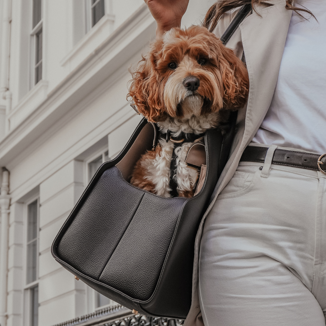 Matte gold hardware and zip detailing on the Chocolate Studio Carrier