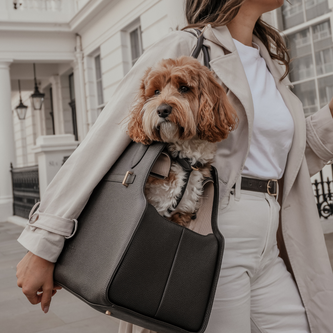 Canvas-lined interior and sherpa mat inside the Chocolate Studio Carrier