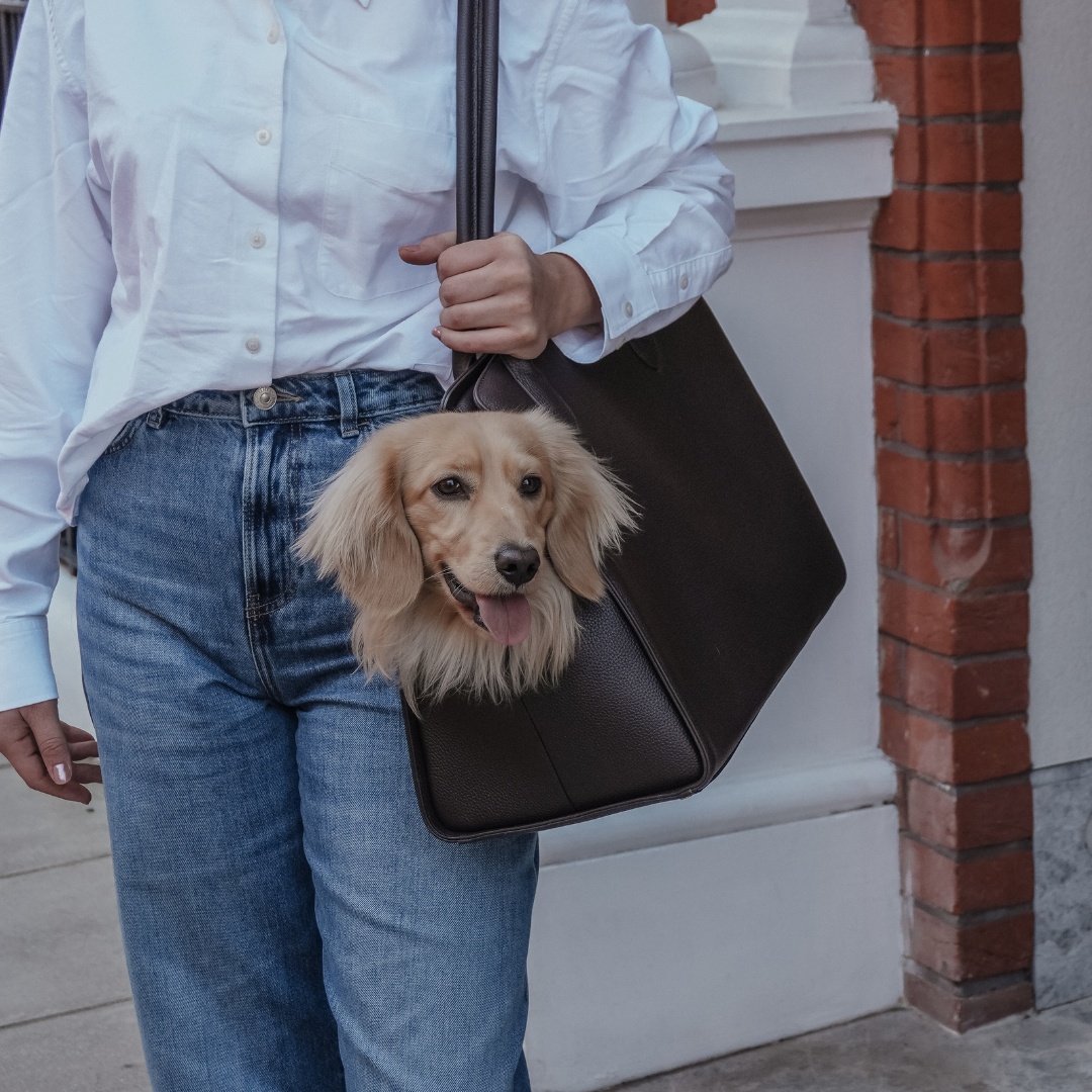 Person holding a black bag with a dog peeking out, standing on a street.