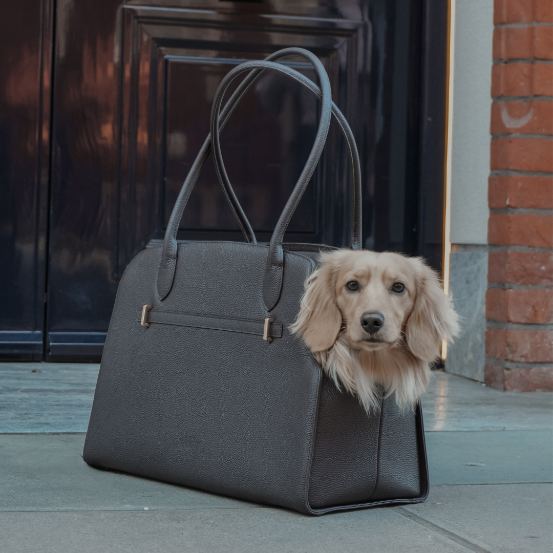 Premium vegan leather detail on the Chocolate Studio Carrier by By Teddy