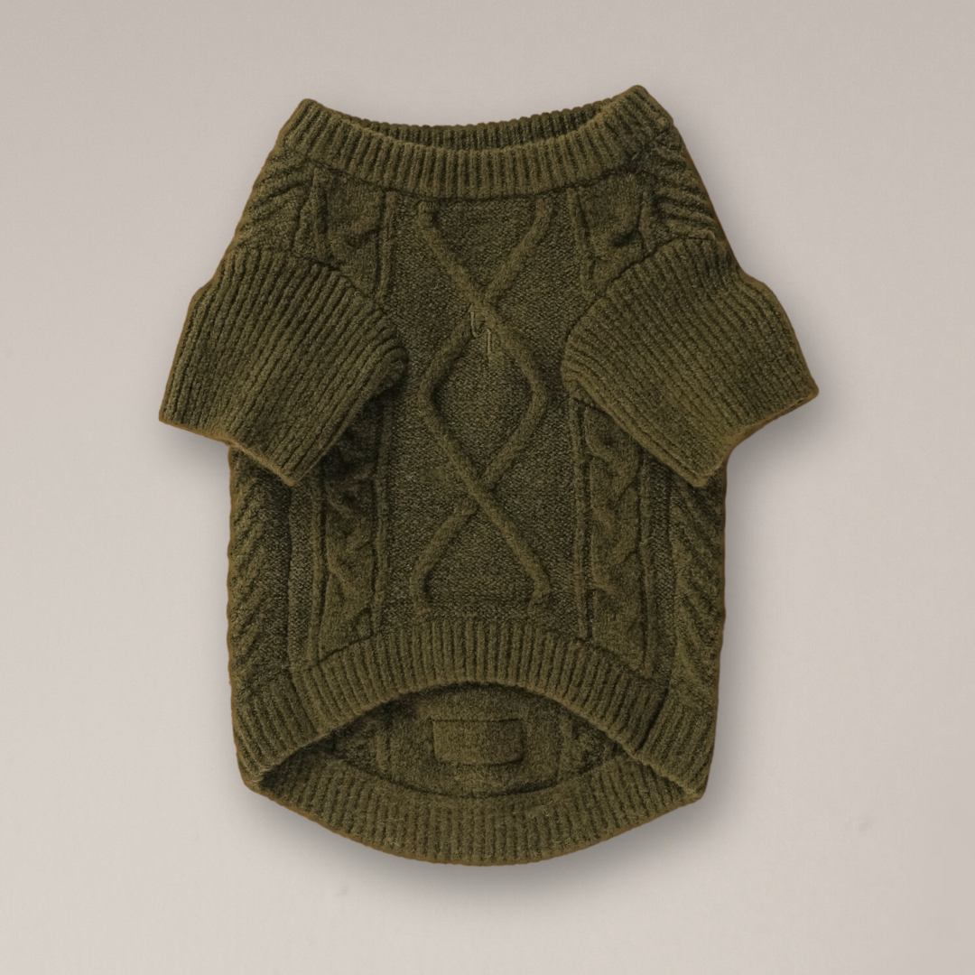Green knitted dog sweater on a light beige background