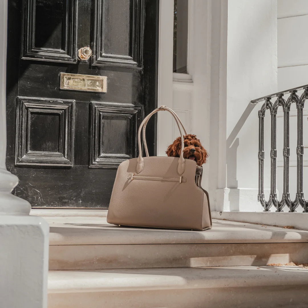 Premium vegan leather detail on the By Teddy Studio Carrier