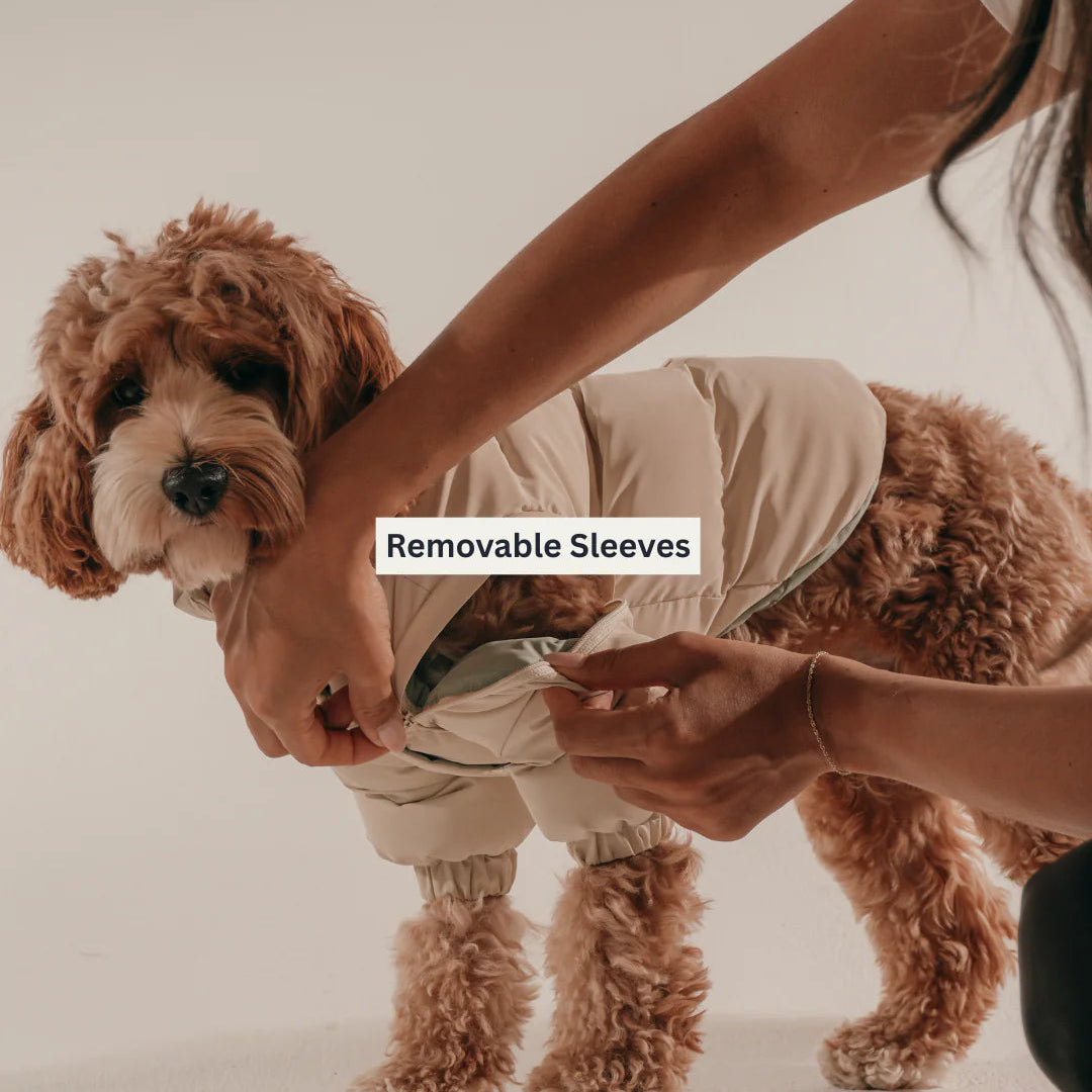 Dog wearing a light-colored outfit with 'Removable Sleeves' text, held by a person.