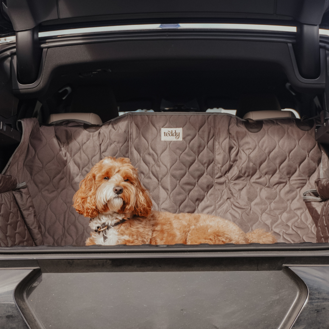 Dog lying on a car mat in the back of a vehicle