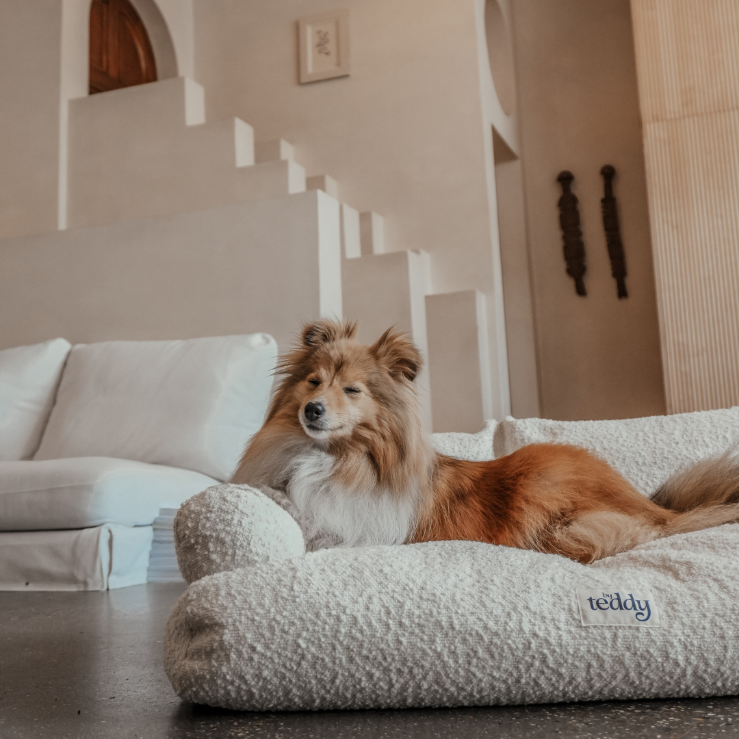 Dog lying on a fluffy pet bed in a home setting with a staircase in the background.