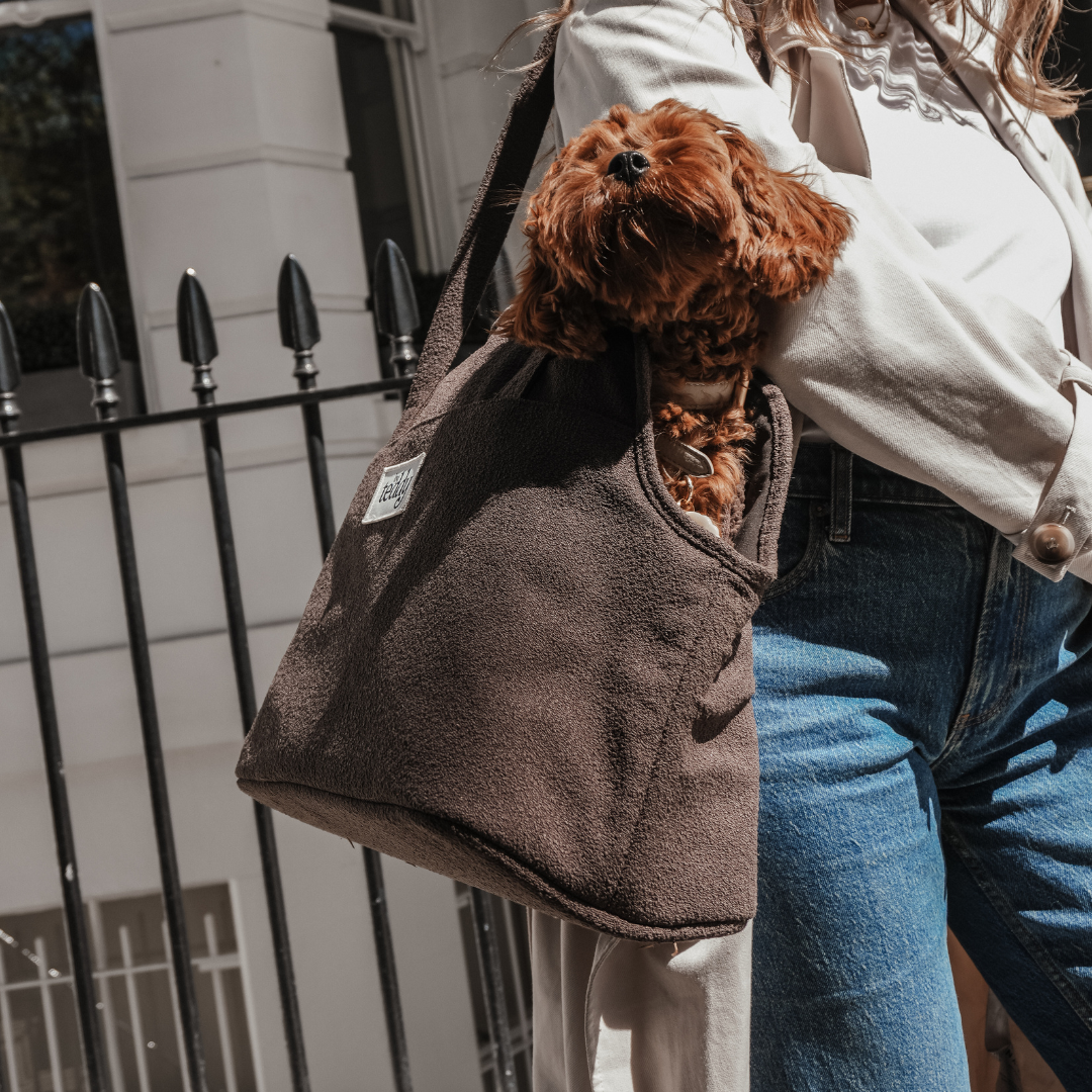 Person holding a small dog in a brown pet carrier against a building background