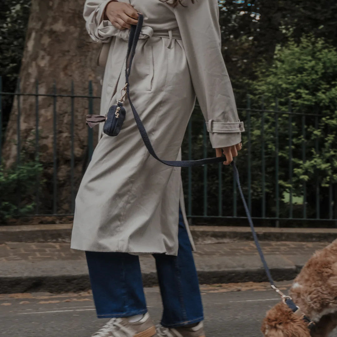Person in a trench coat walking a dog on a leash with trees in the background