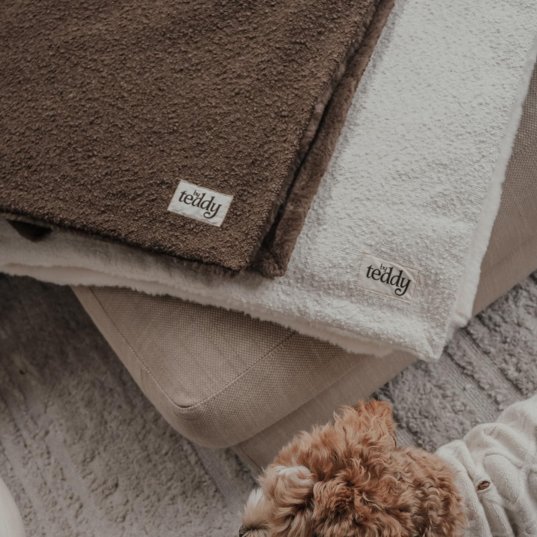 Two plush towels, one brown and one beige, with 'teddy' branding, draped over a surface. A small dog wearing a sweater is peeking out from under the beige towel.