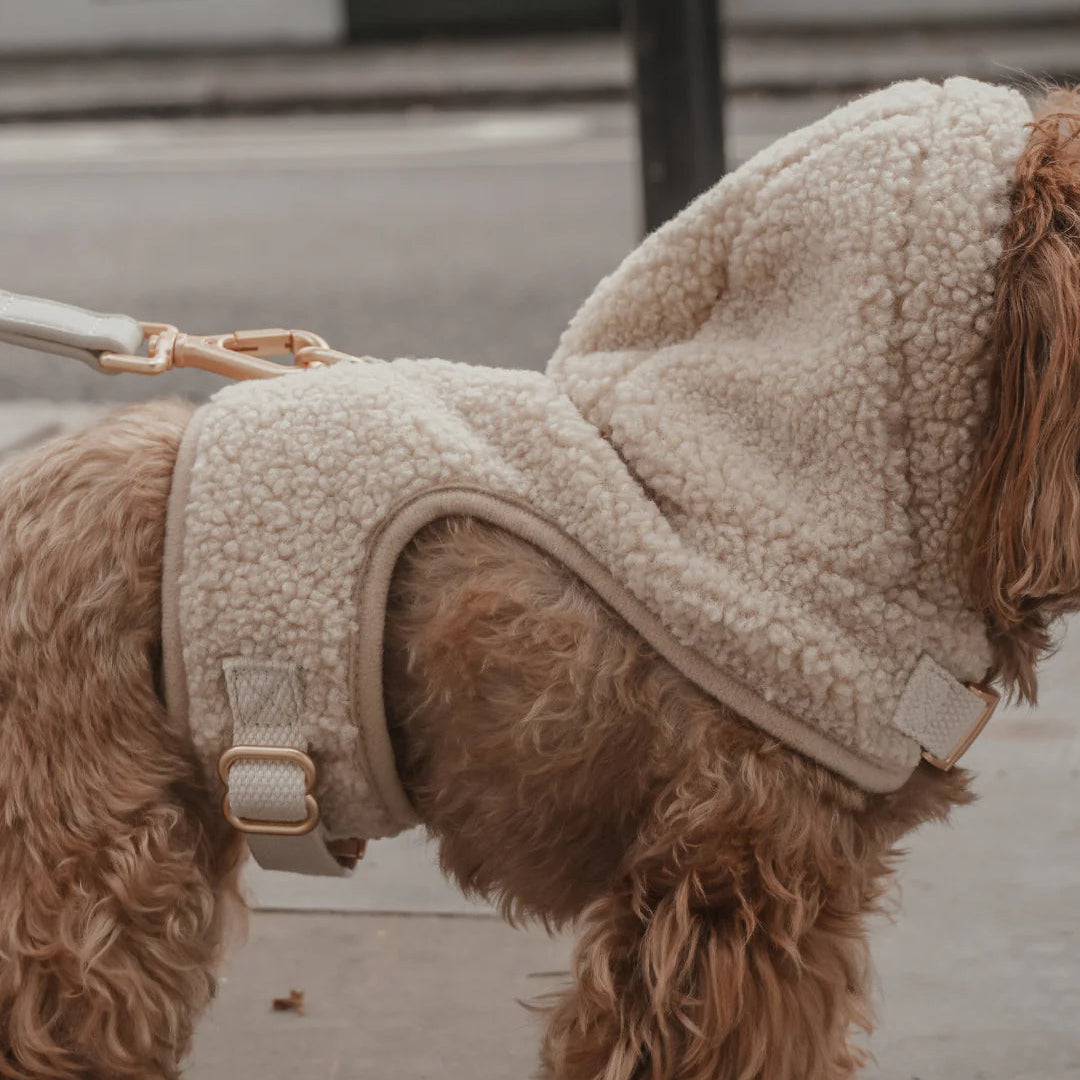 Dog wearing a beige fleece coat with a hood on a leash.