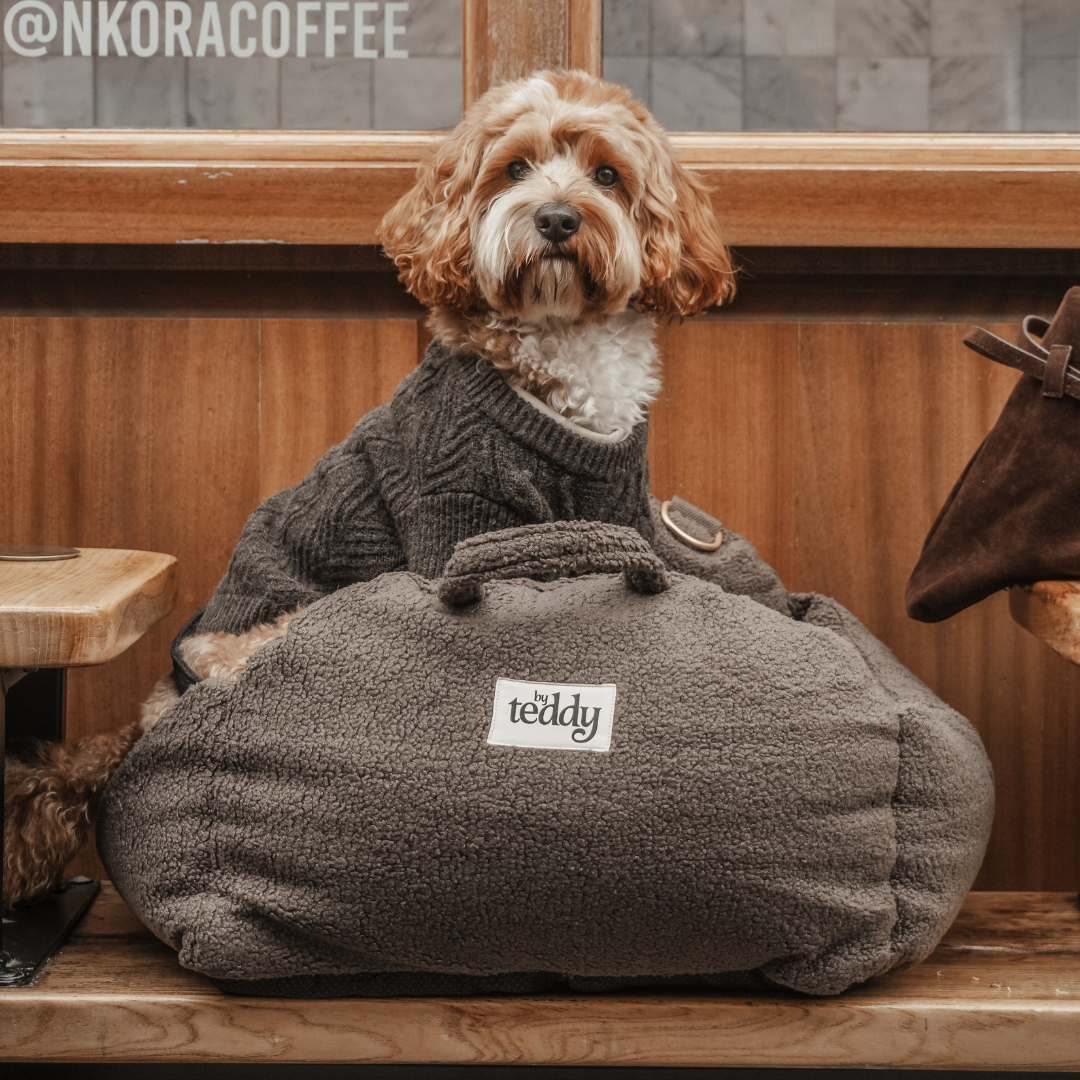 Calm cosy dog journey setup with the Chocolate Car Seat