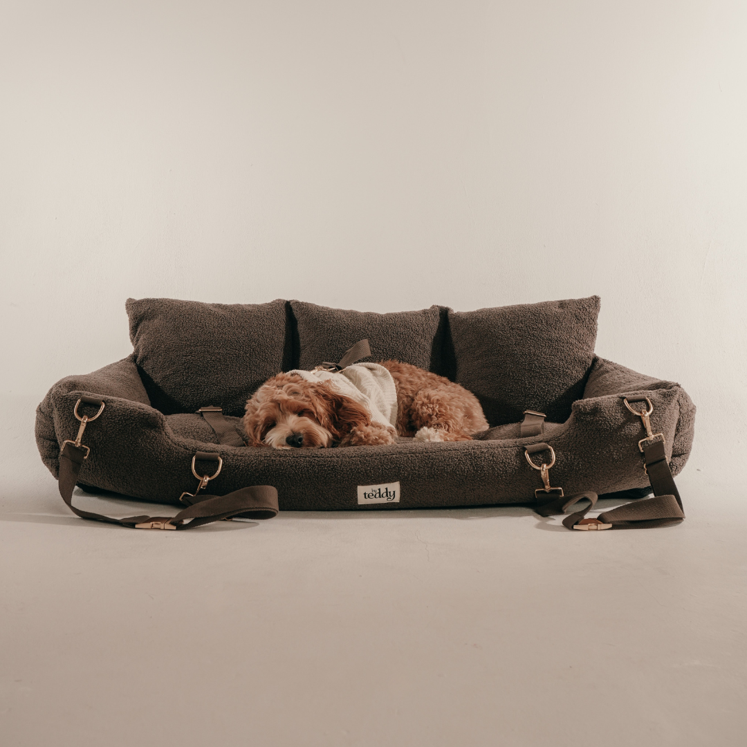 Calm dog journey setup with the Chocolate Cosy Car Seat
