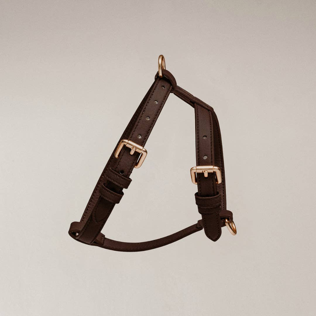 Brown leather dog harness with gold hardware on a light gray background