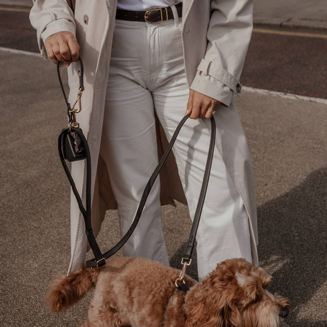 Dog walking with the Chocolate Studio Hands-Free Lead