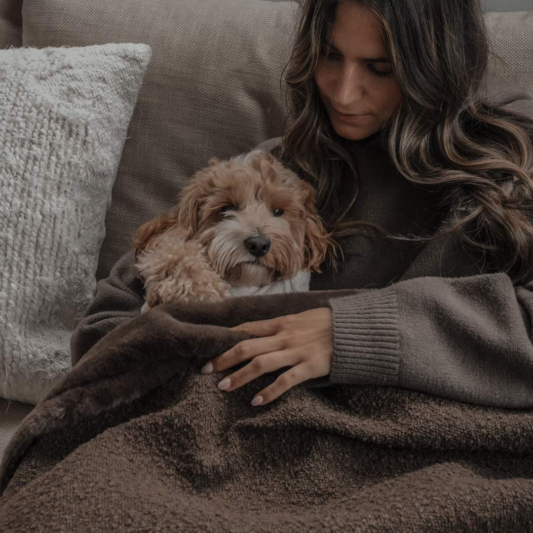 Woman sitting on a couch with a small dog, wrapped in a brown blanket