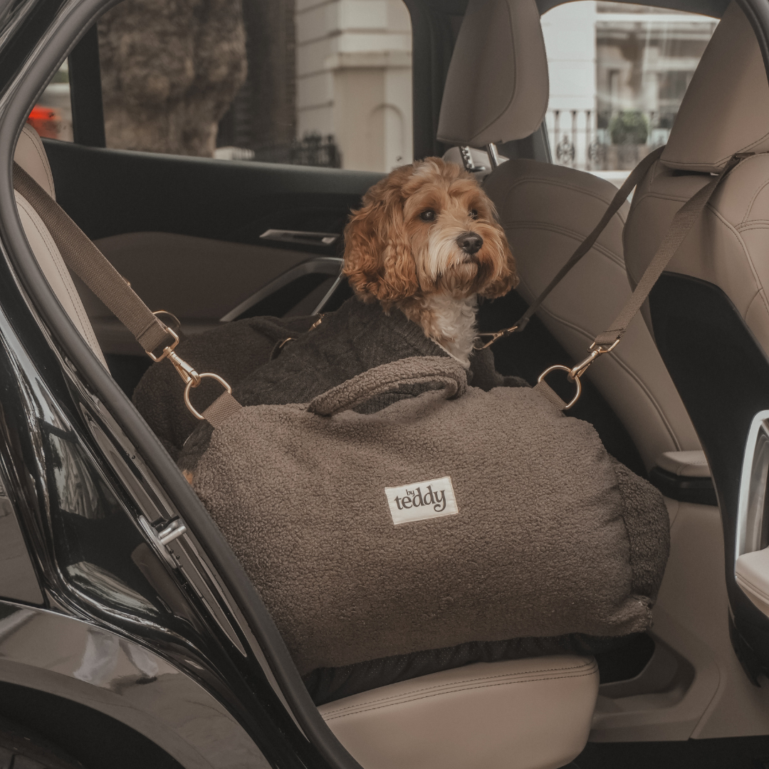 Dog in a car seat cover with a visible brand logo, sitting in a vehicle.