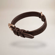 Brown leather dog collar with brass buckle on a beige background