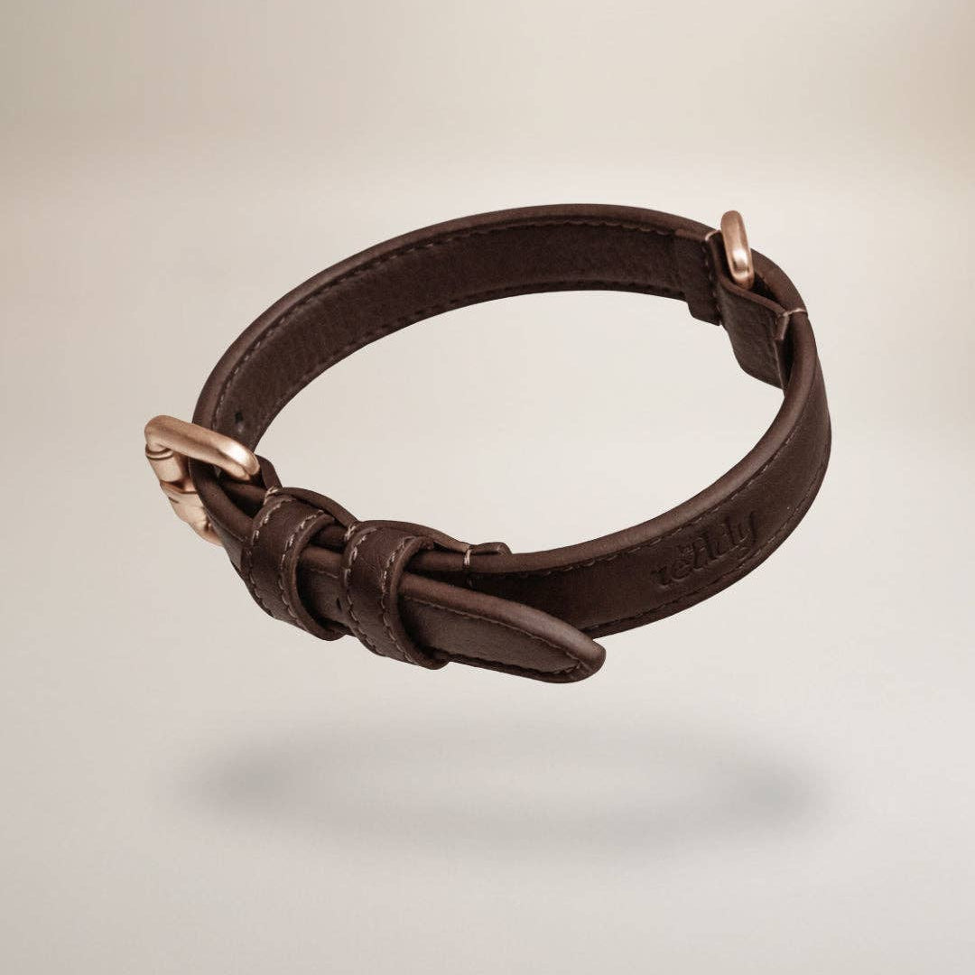 Brown leather dog collar with brass buckle on a beige background