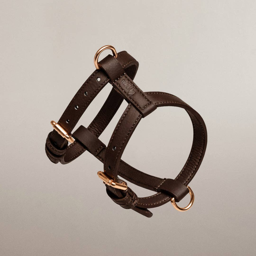 Chocolate Studio Harness styled with matching accessories