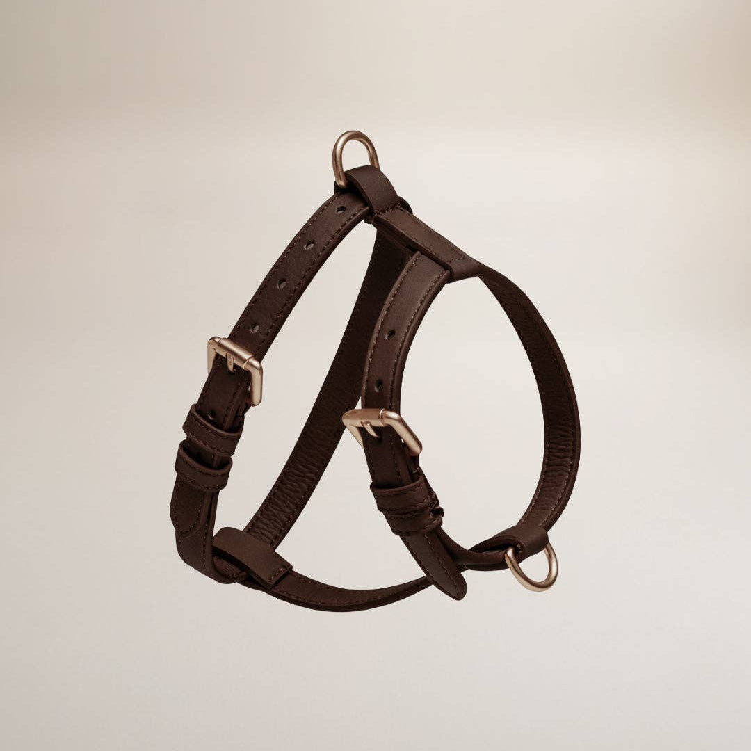 Brown dog harness on a beige background