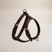 Brown dog harness on a beige background