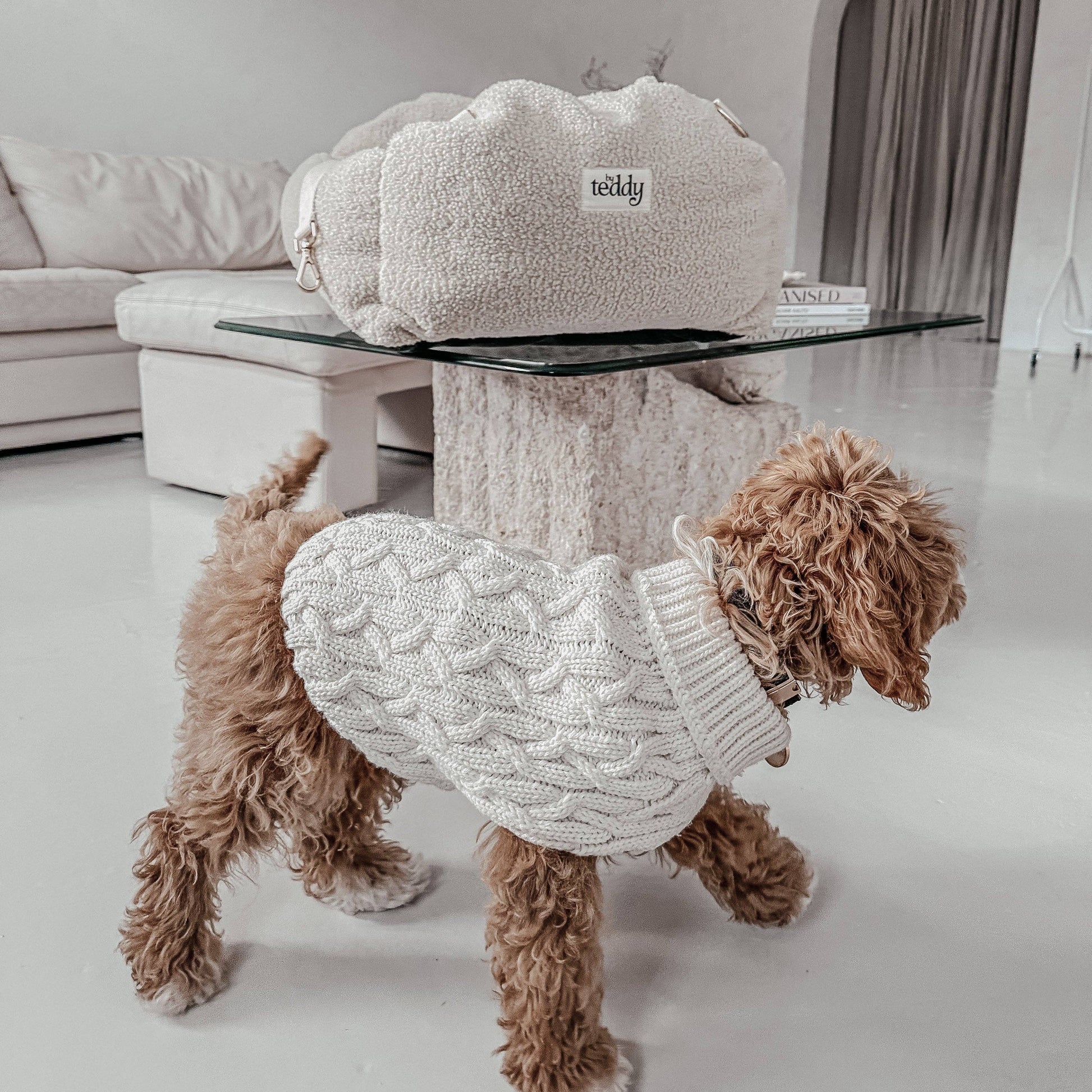 Dog wearing a white knitted sweater in a modern living room.