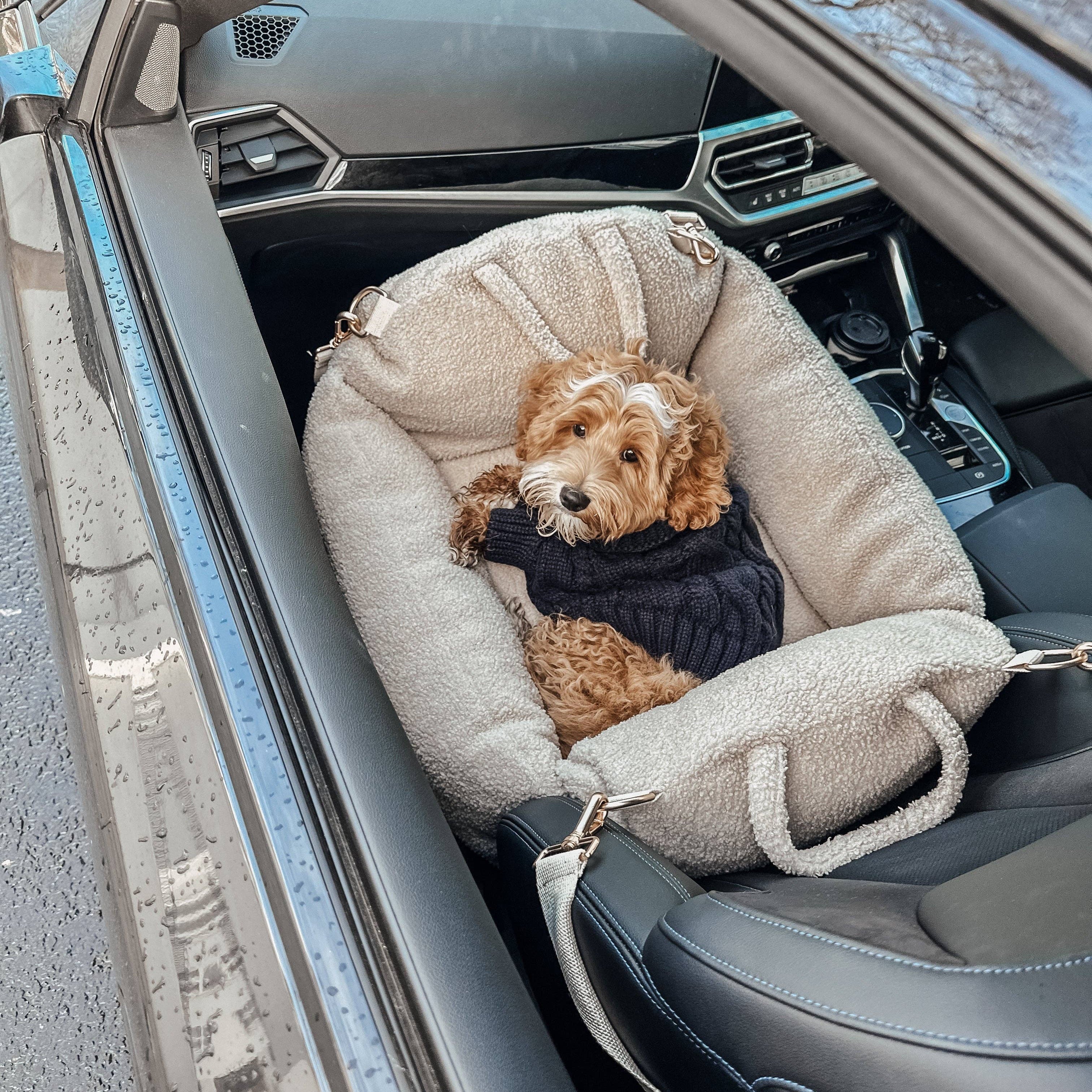Dog in a car seat inside a vehicle