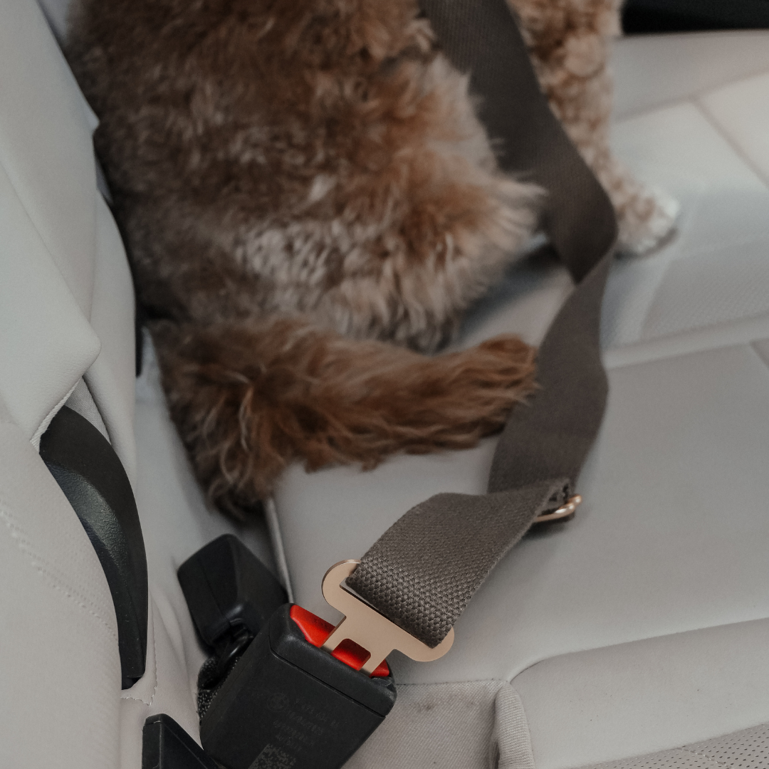 Side profile of the Adjustable Seat Belt Safety Clip