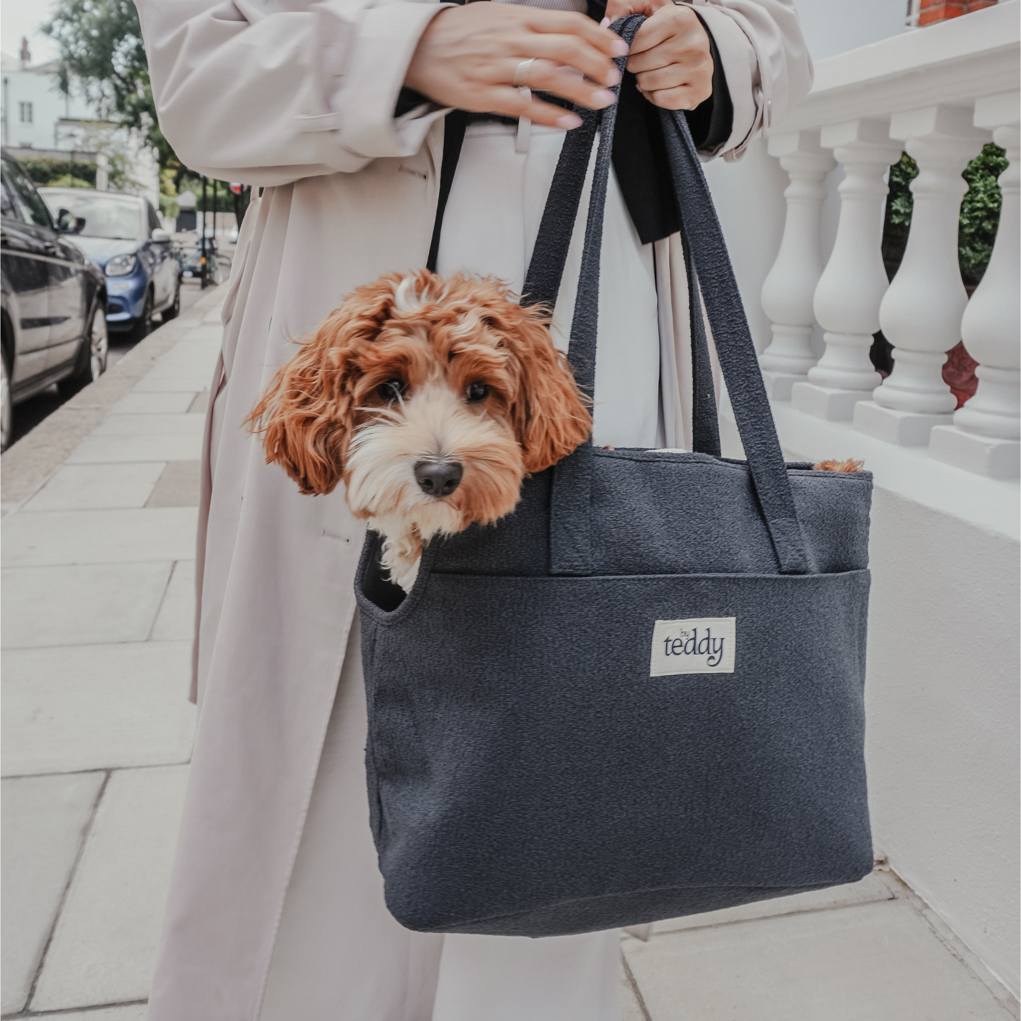 Dog relaxing inside the Midnight Bouclé Carrier
