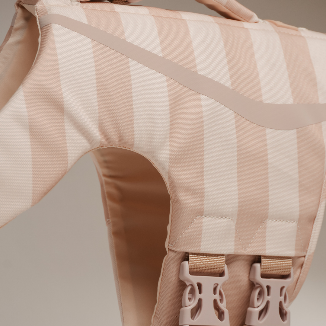 Beige and white striped dog harness on a plain background