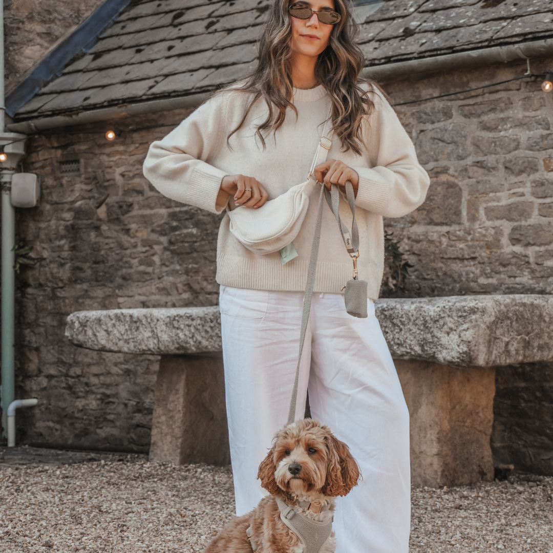 Crossbody dog walking bag by BY TEDDY
