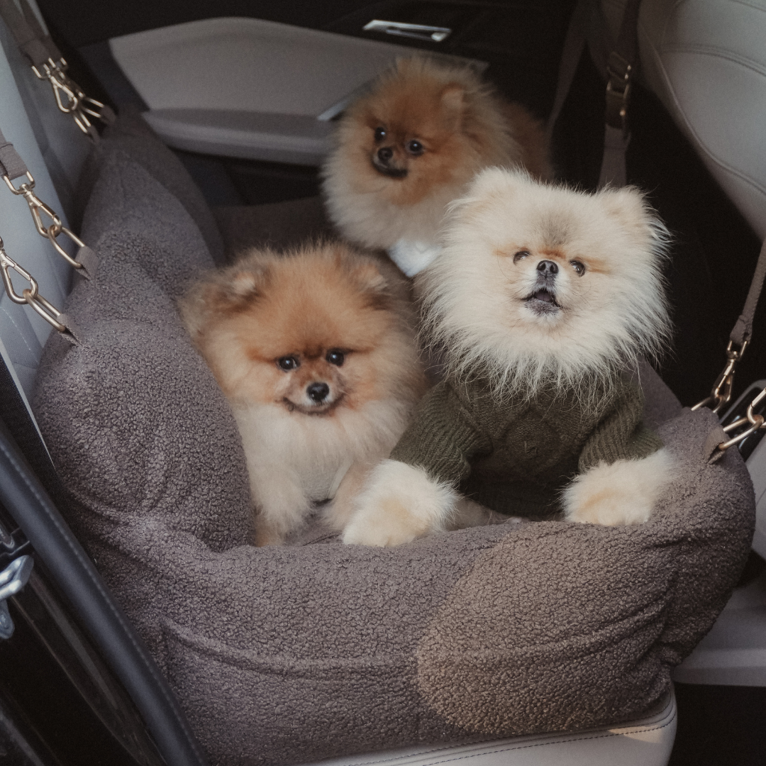 Elevated dog travel comfort with the Chocolate Cosy Car Seat