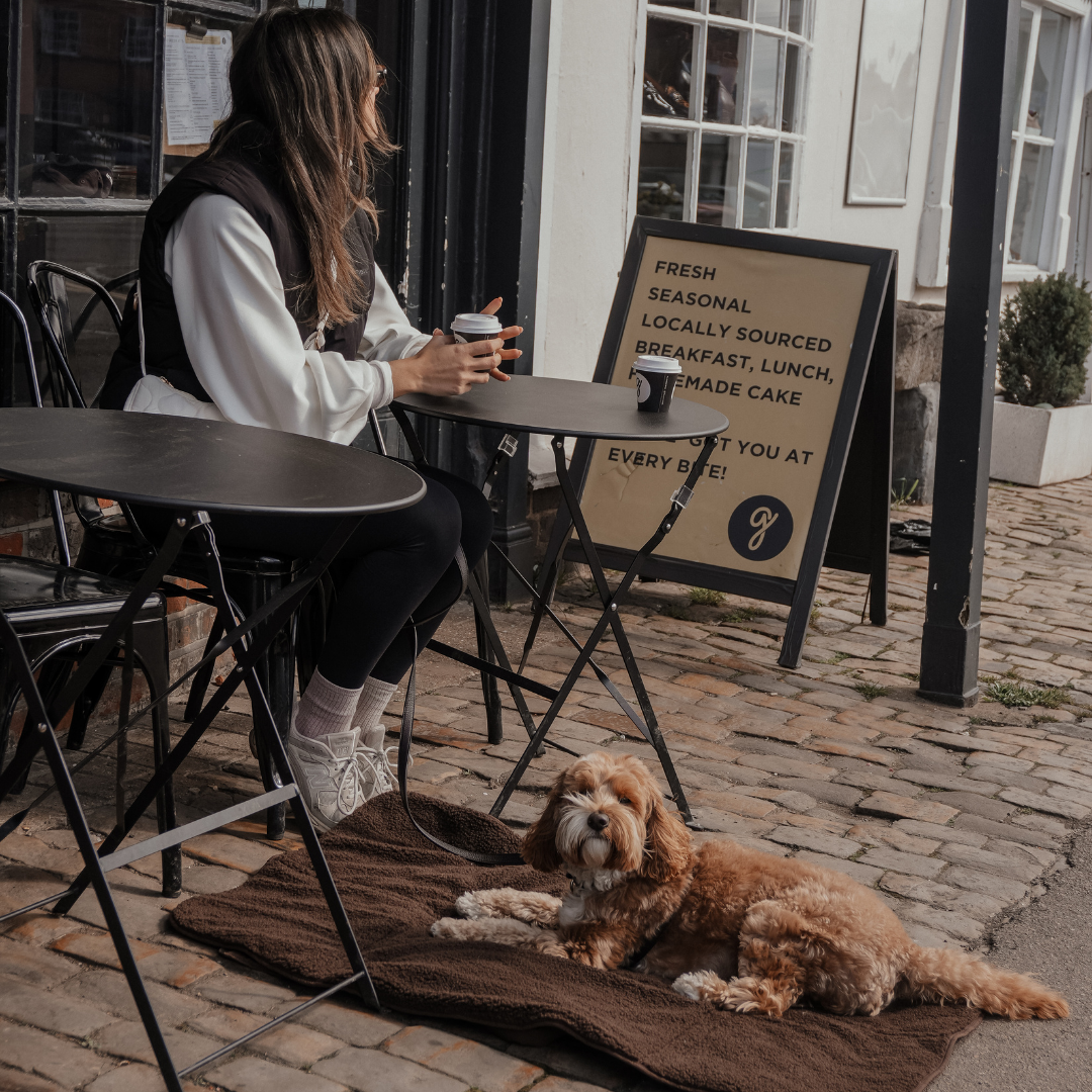 Elevated pet outing setup with the Chocolate Tote