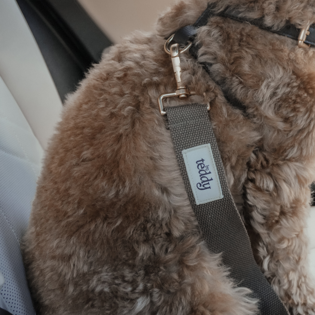 Harness attachment detail on the Seat Belt Safety Clip