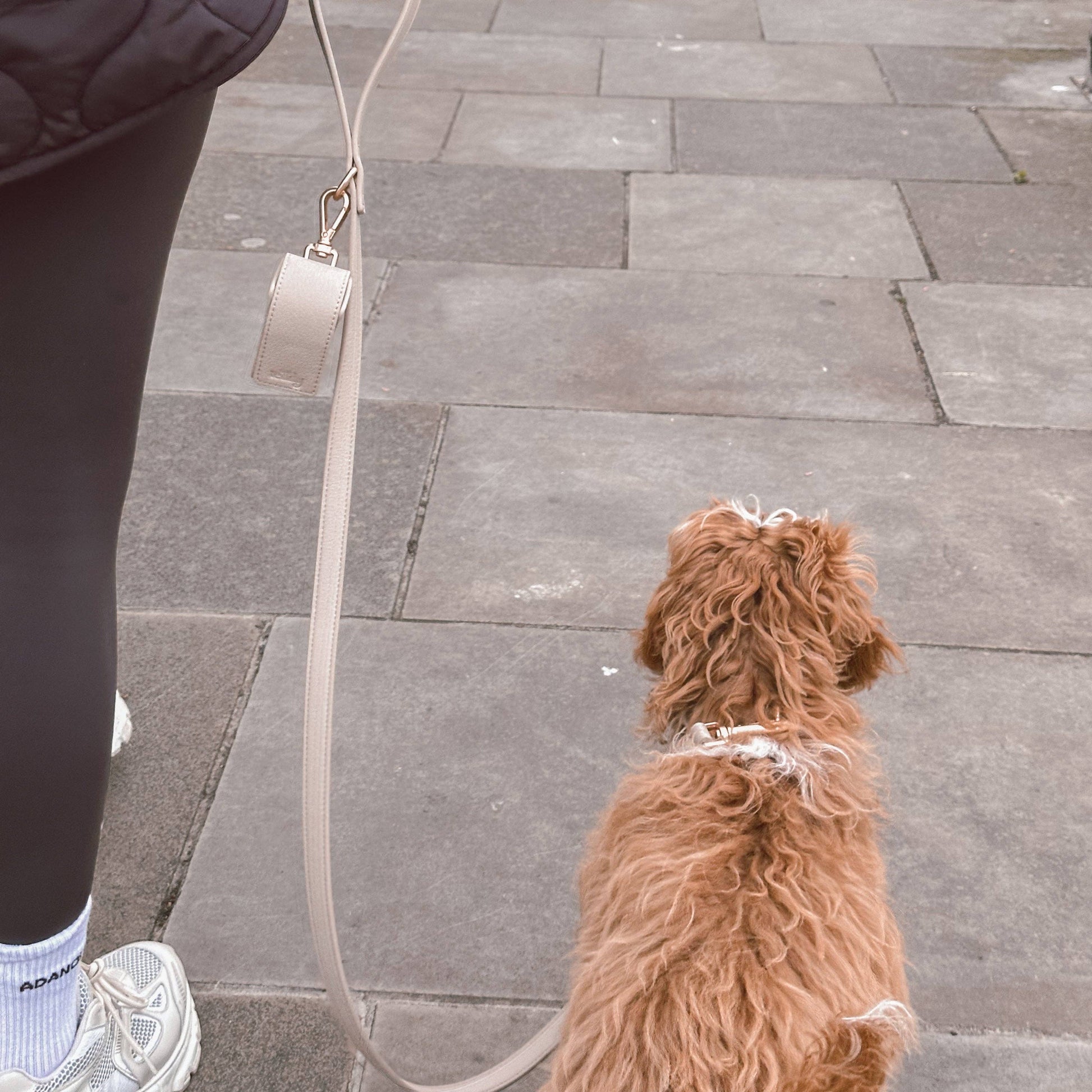 Person walking a dog on a leash on a sidewalk