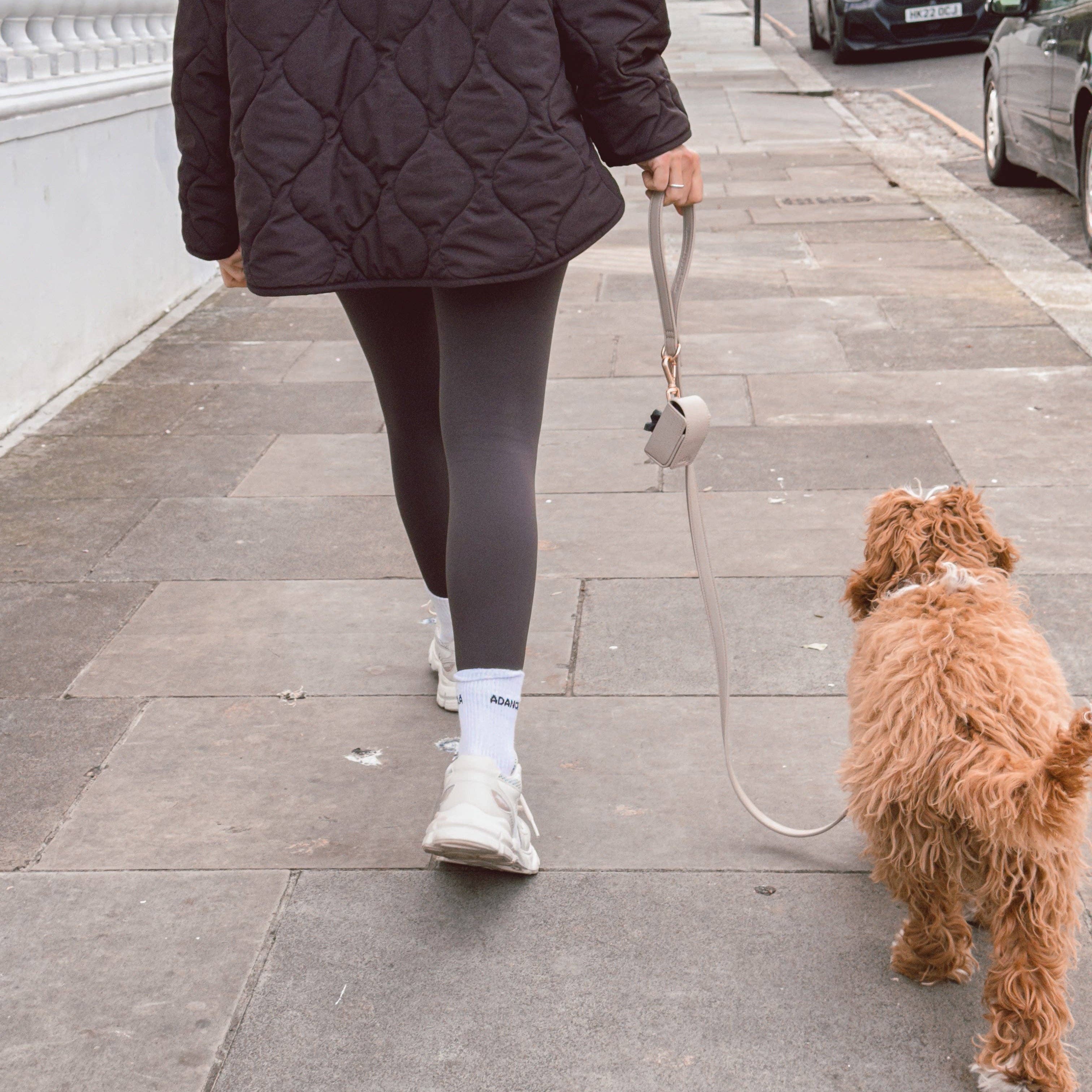 Person walking a dog on a leash in an urban setting