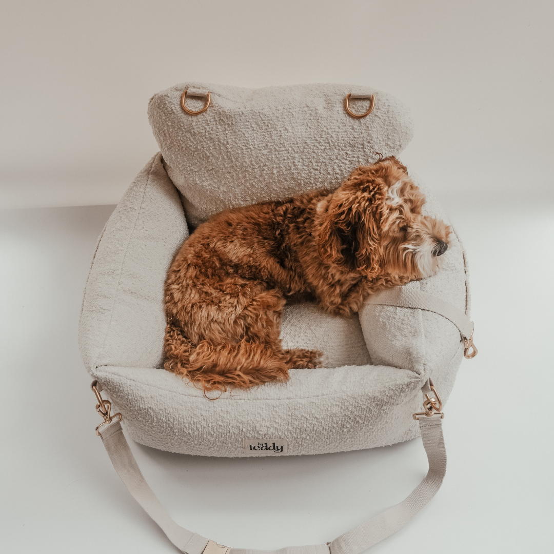 Lightweight luxury dog travel seat