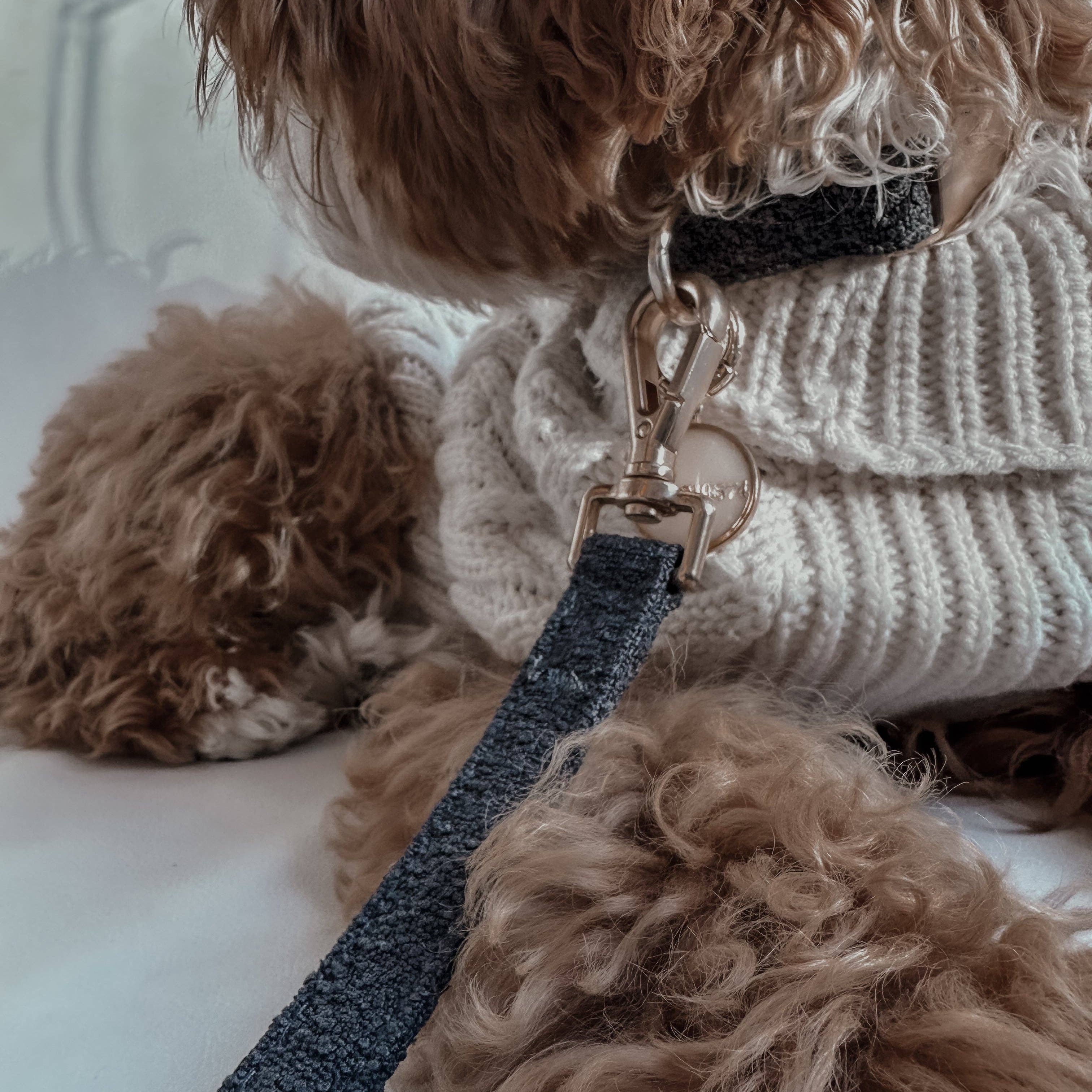 Lightweight Midnight Bouclé Collar fitted on a dog
