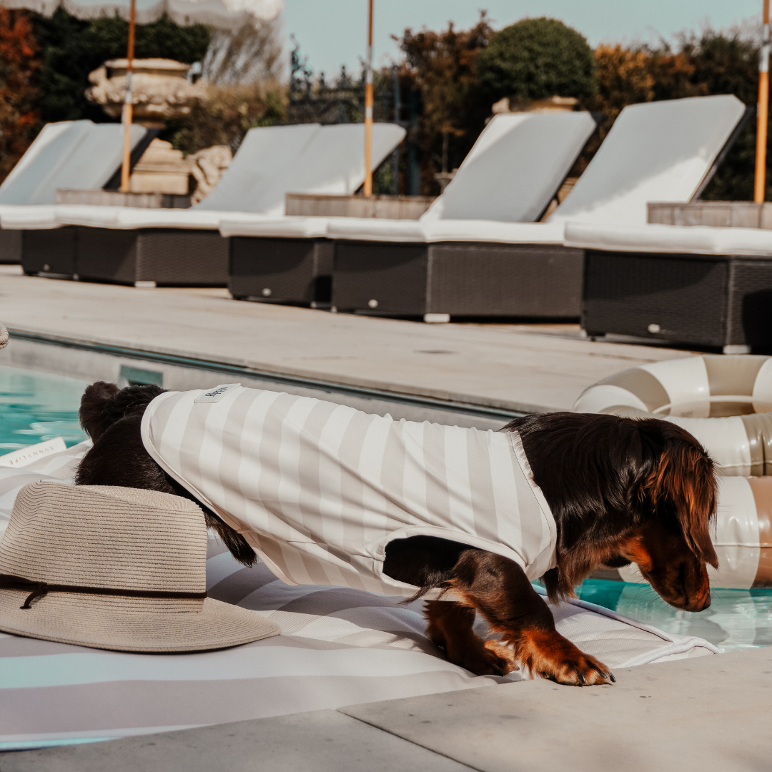 Lightweight summer dog cooling vest by BY TEDDY