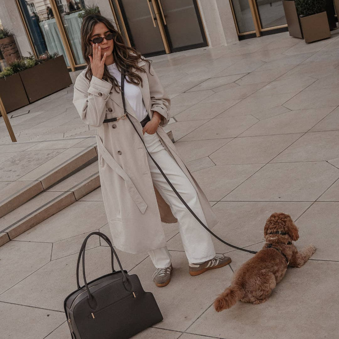 Luxury hands-free dog walking setup by BY TEDDY