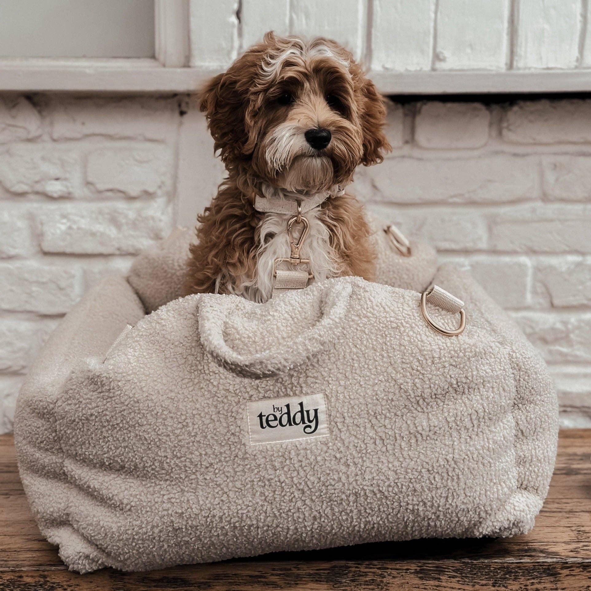 Dog sitting in a fluffy beige pet bed with 'teddy' branding against a light brick wall.