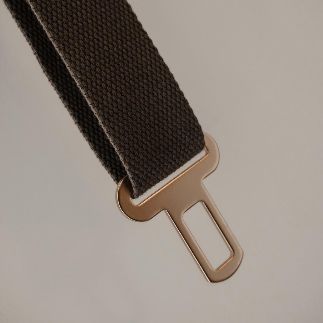 Brown seat belt with gold buckle on a beige background