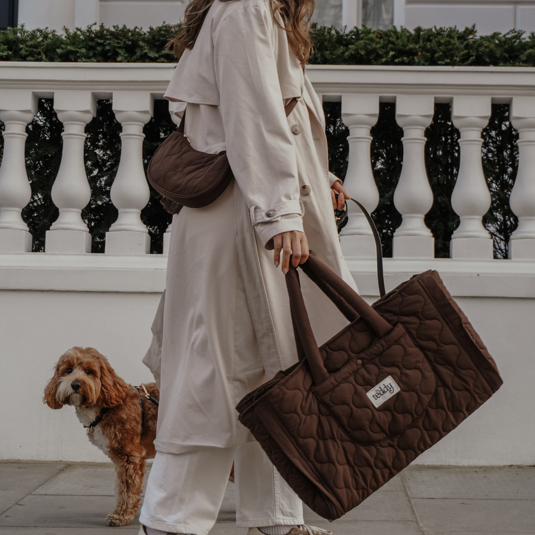 Luxury dog travel tote styled for everyday outings