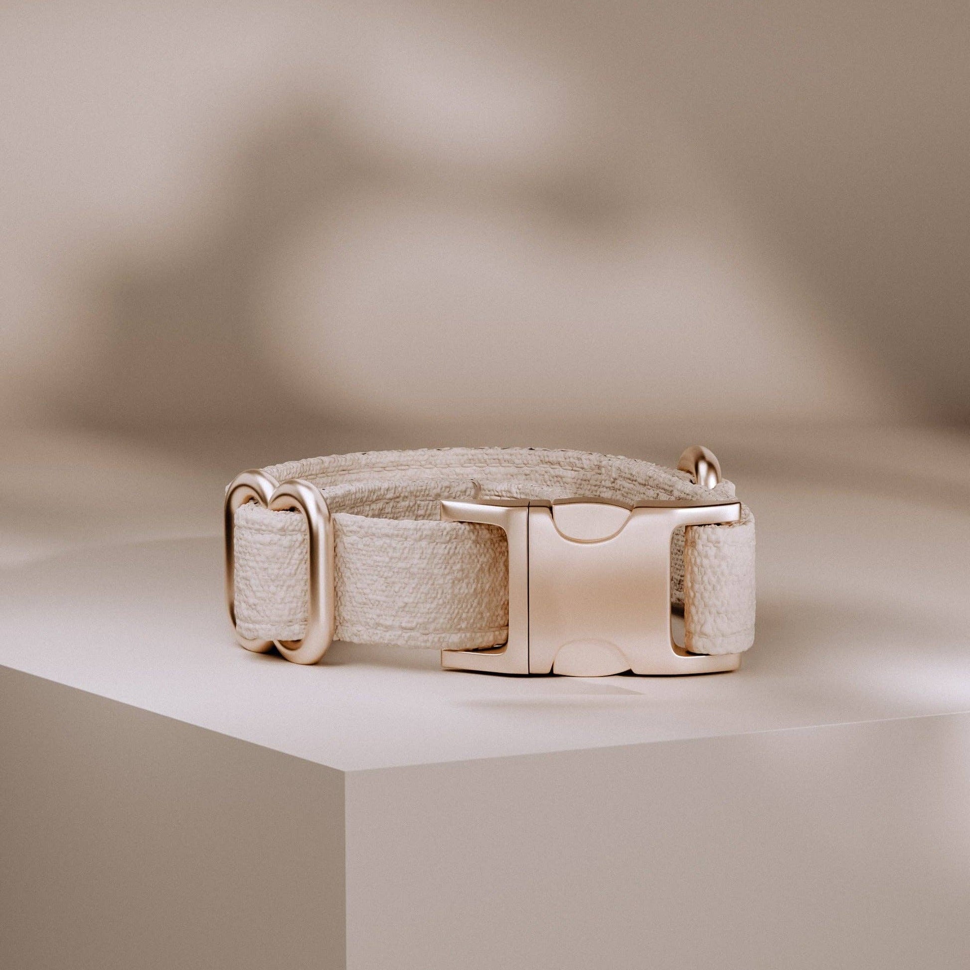 Beige dog collar with a metallic buckle on a neutral background