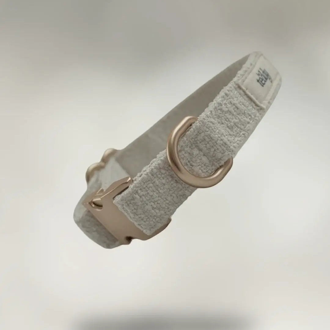 Dog collar with a metallic buckle on a light gray background