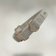 Dog collar with a metallic buckle on a light gray background