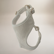 Light blue dog muzzle on a plain background