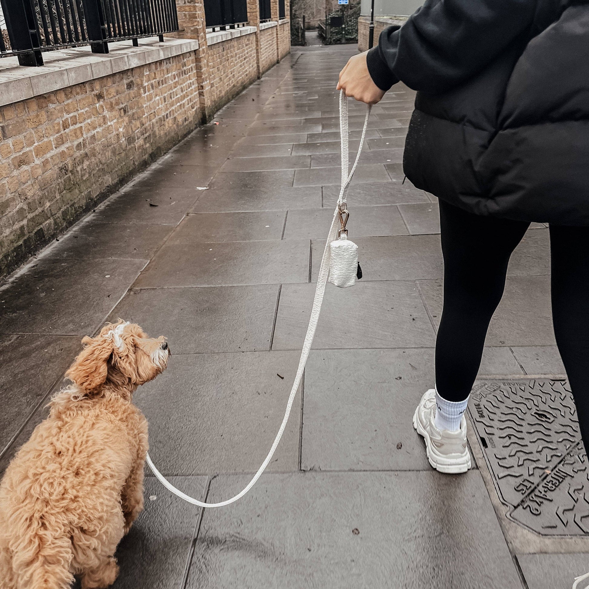 Marshmallow neutral dog walking essential