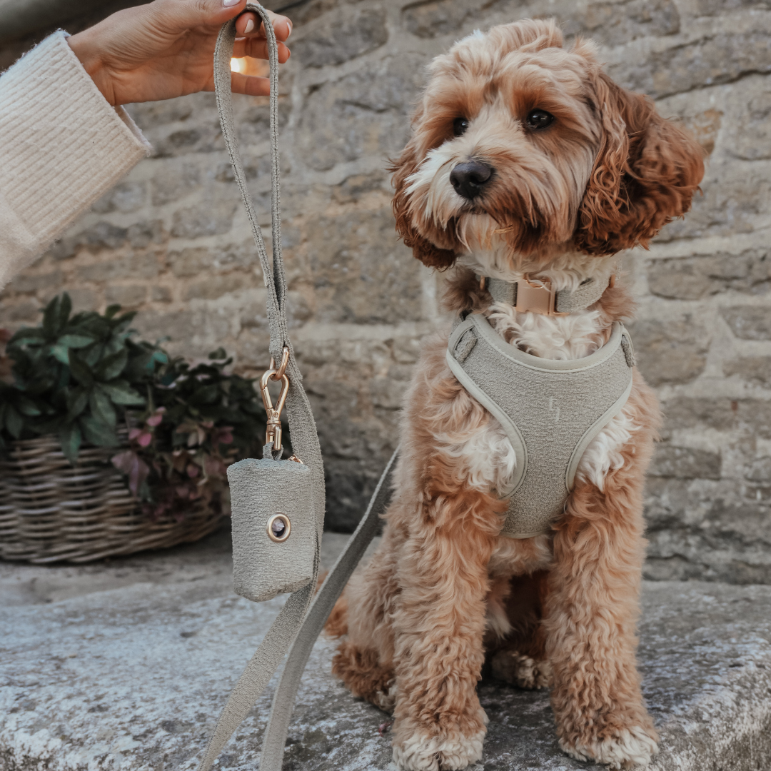 Adjustable straps on the Matcha Bouclé Dog Harness by BY TEDDY